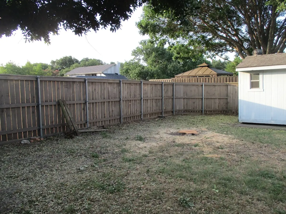 Cleared yard after professional tree removal in Eldorado Springs