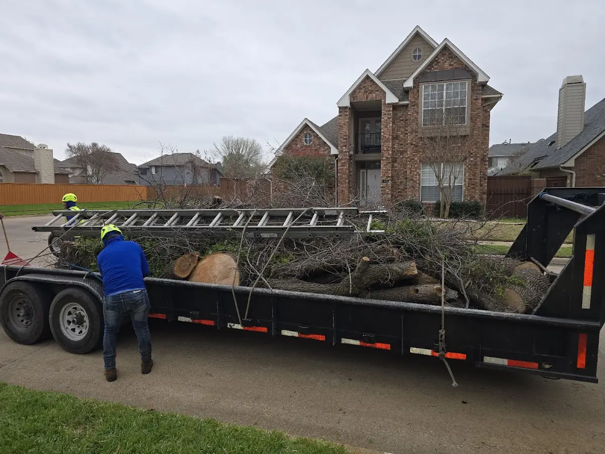 Expert Tree Fertilization with proper safety equipment in Eldorado Springs